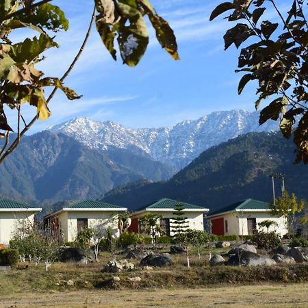 Dhauladhar View Village Resort Dharamsala Exteriér fotografie