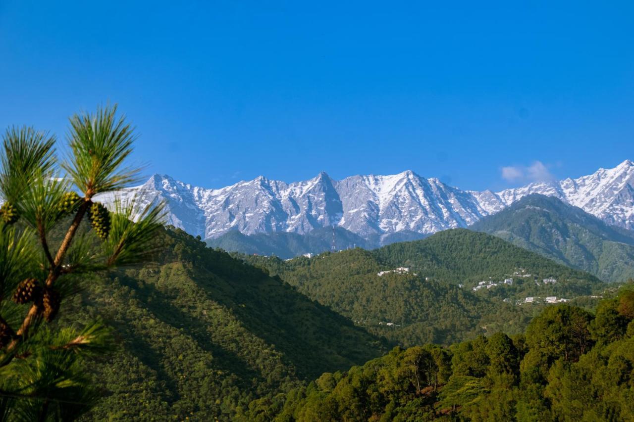 Dhauladhar View Village Resort Dharamsala Exteriér fotografie